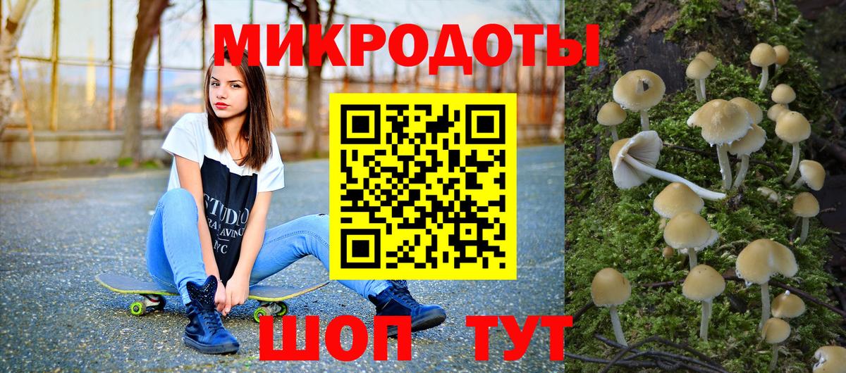 Златоуст  купить закладку  Вход с VPN  Псилоцибиновые грибы мицелий 