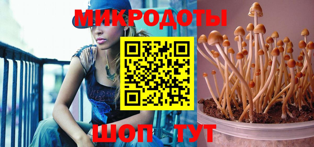 Псилоцибиновые грибы GOLDEN TEACHER Златоуст
