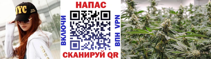Каннабис план  цены наркотик  Златоуст 